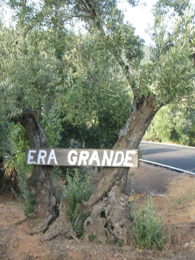 코르도바 Cortijo "Era Grande 2" 빌라 외부 사진